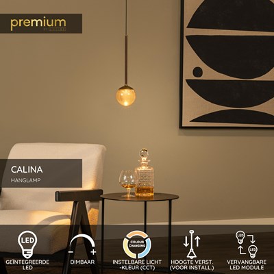 Lucide CALINA - Hanglamp - Ø 9,9 cm - LED Dimb. - CCT - 1x7W 2200K/3300K - Met vervangbare LED-module - Koffie | Premium